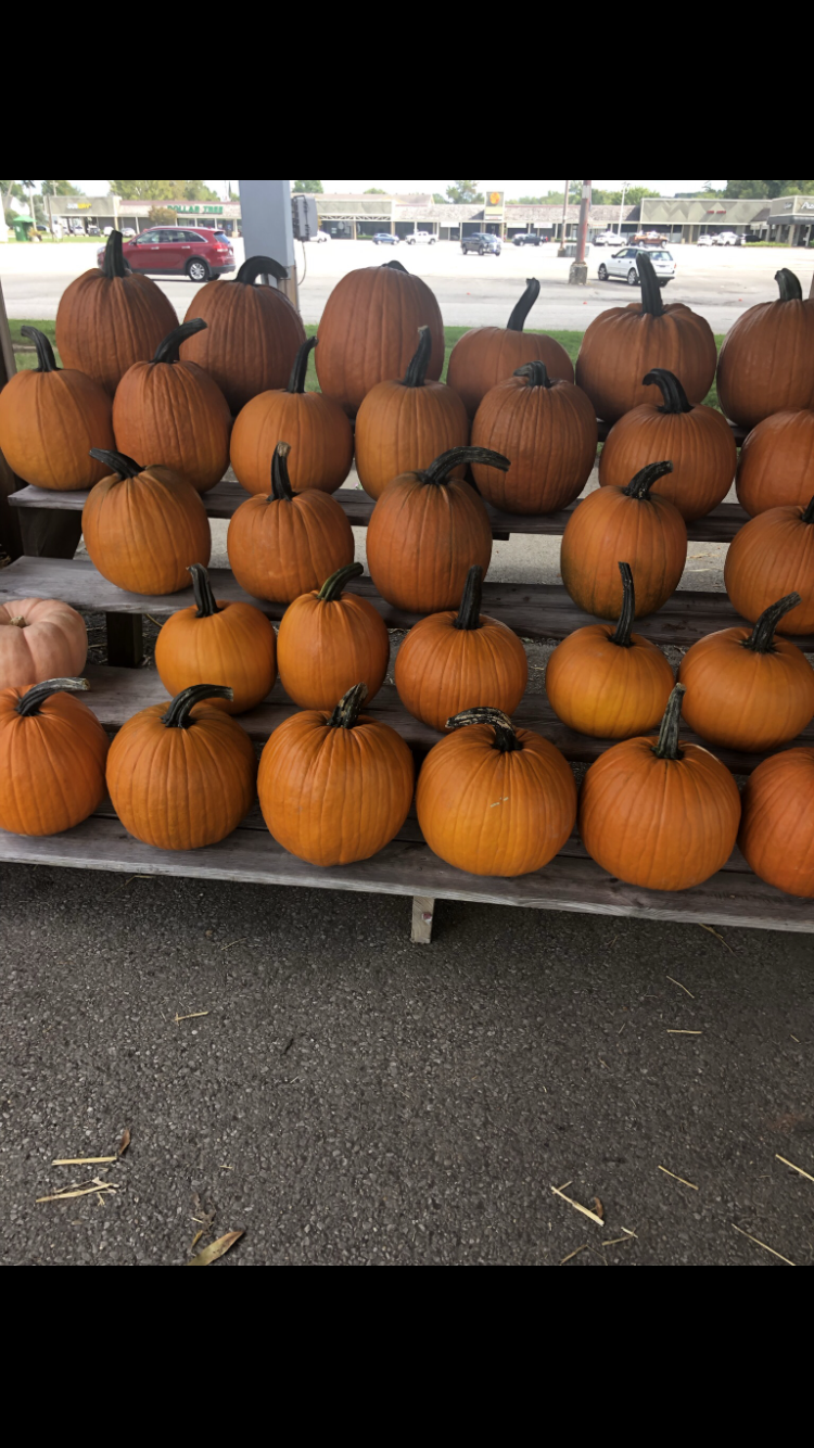 About, homestead, Farm, Jason Ekers